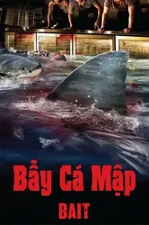 Bẫy Cá Mập | Bẫy Cá Mập (2013)